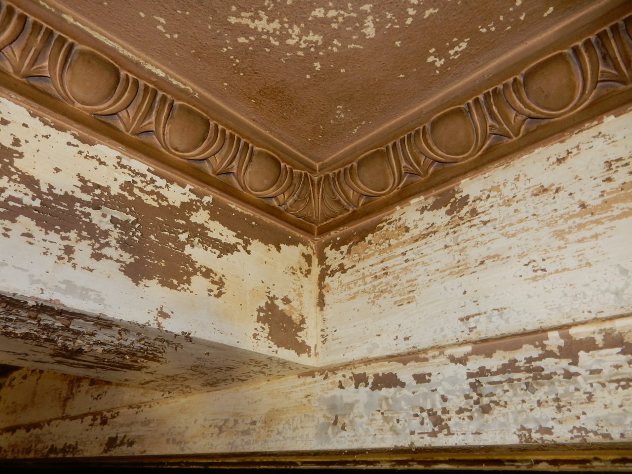 Wonderful examples of egg and dart moulding  border the ceiling